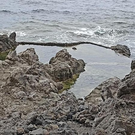 Oasis En Tenerife 3 El Escobonal Dış mekan fotoğraf